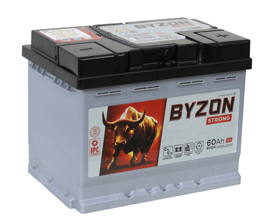 bizon 60 Ah 600 A6